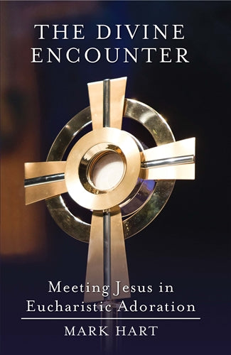 Book cover of 'The Divine Encounter' with a gold cross on a dark background