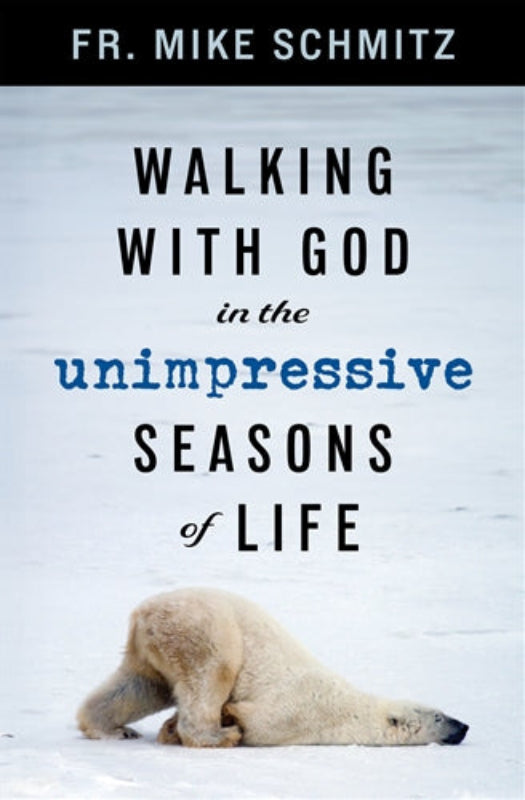 Book cover with a polar bear in snow and text about walking with God in life's seasons
